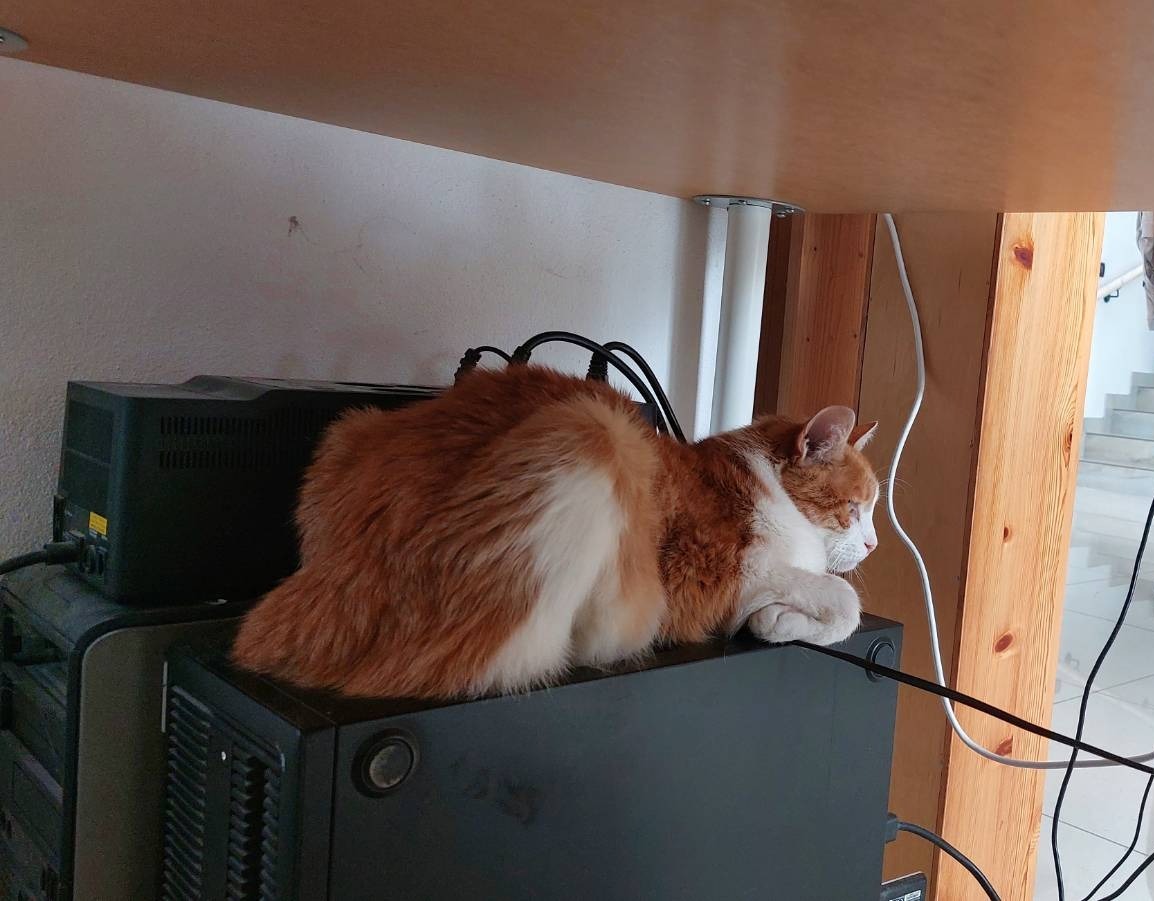 Garfield repairing my computer